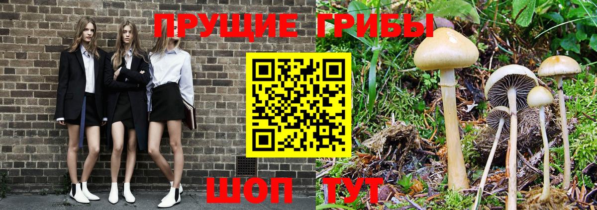 Тихорецк  Галлюциногенные грибы Cubensis  Вход с VPN  Псилоцибиновые грибы Cubensis 