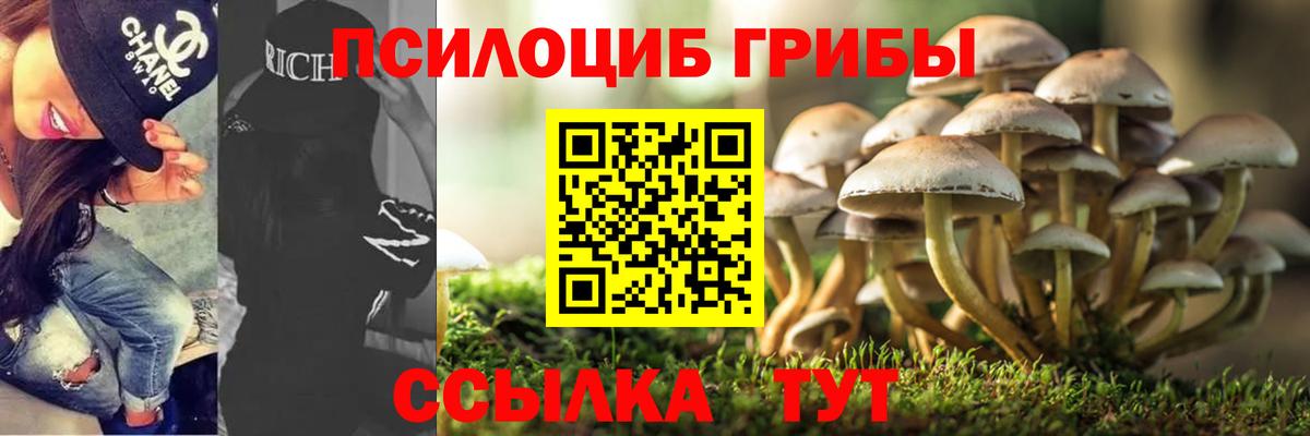 Псилоцибиновые грибы MAGIC MUSHROOMS Тихорецк
